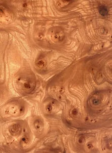 Отделка лестницы натуральным вязом Отделка лестницы карагачем